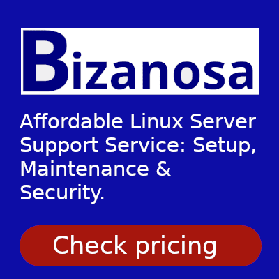 Bizanosa server support service